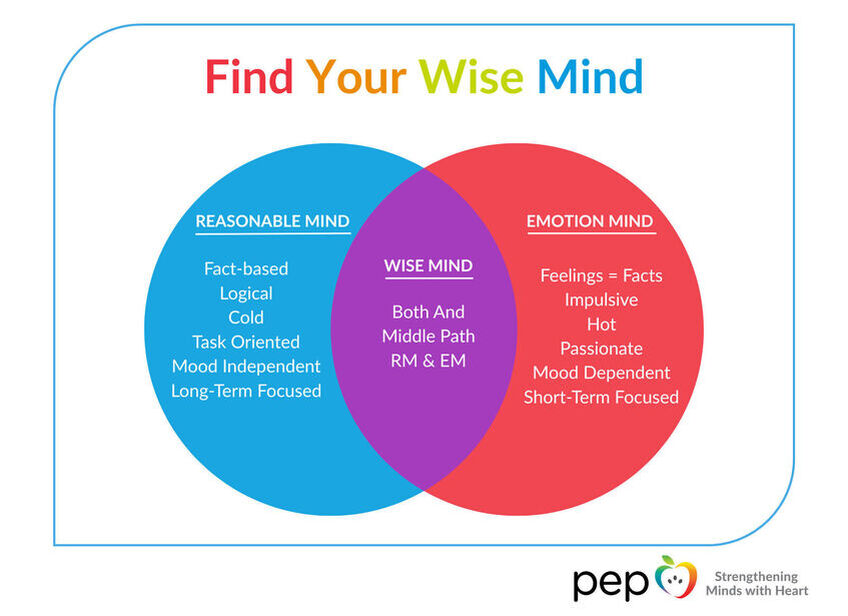 Findyourwisemind2