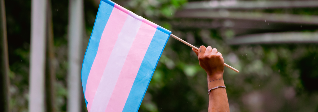 Supporting Transgender Youth - a person holds a transgender flag aloft
